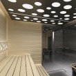 Sauna BestLine Graphite