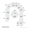 Hamisi LR22