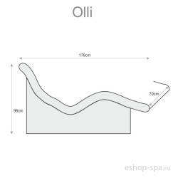 Olli